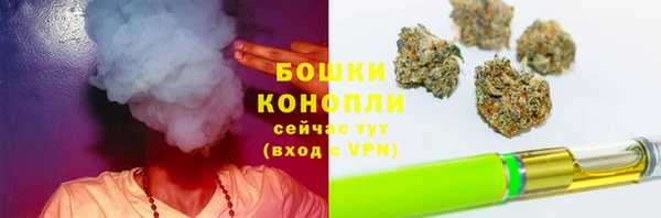 кокс Нея