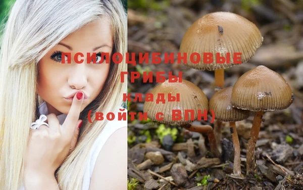 таблы Нефтекумск
