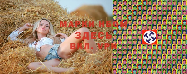кокс Нея